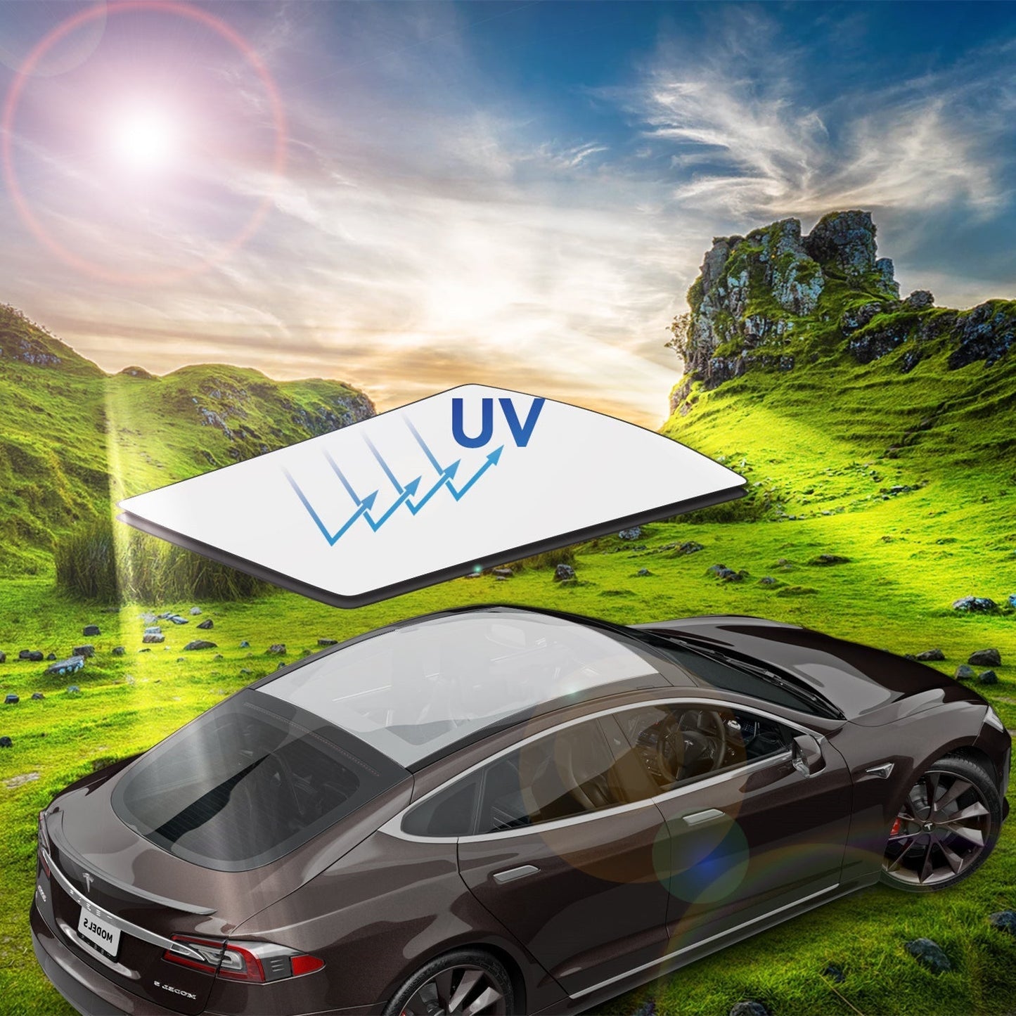 Panoramic Sunroof Sunshade for Tesla Model S Tesery Official Store