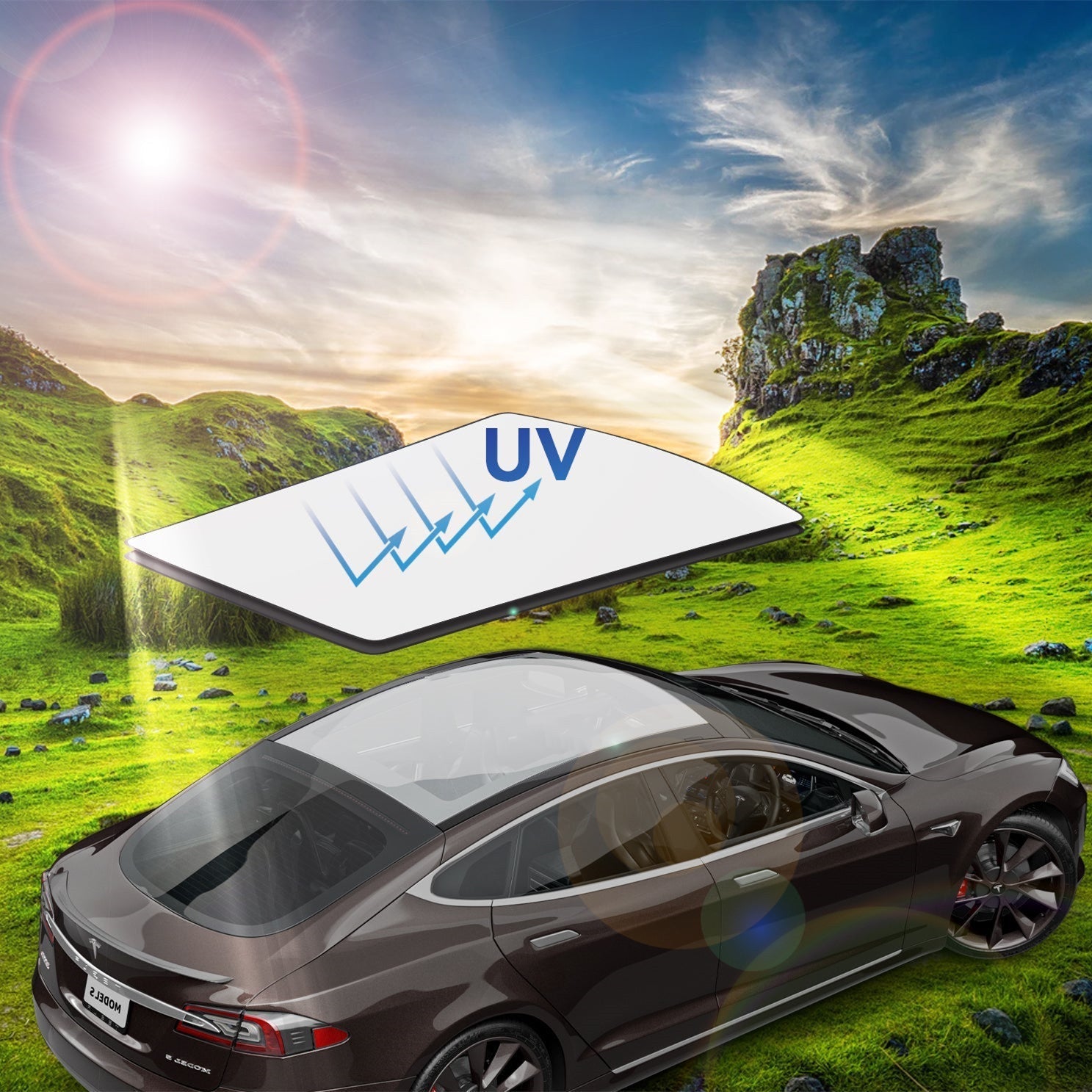 Panoramic Sunroof Sunshade for Tesla Model S Tesery Official Store