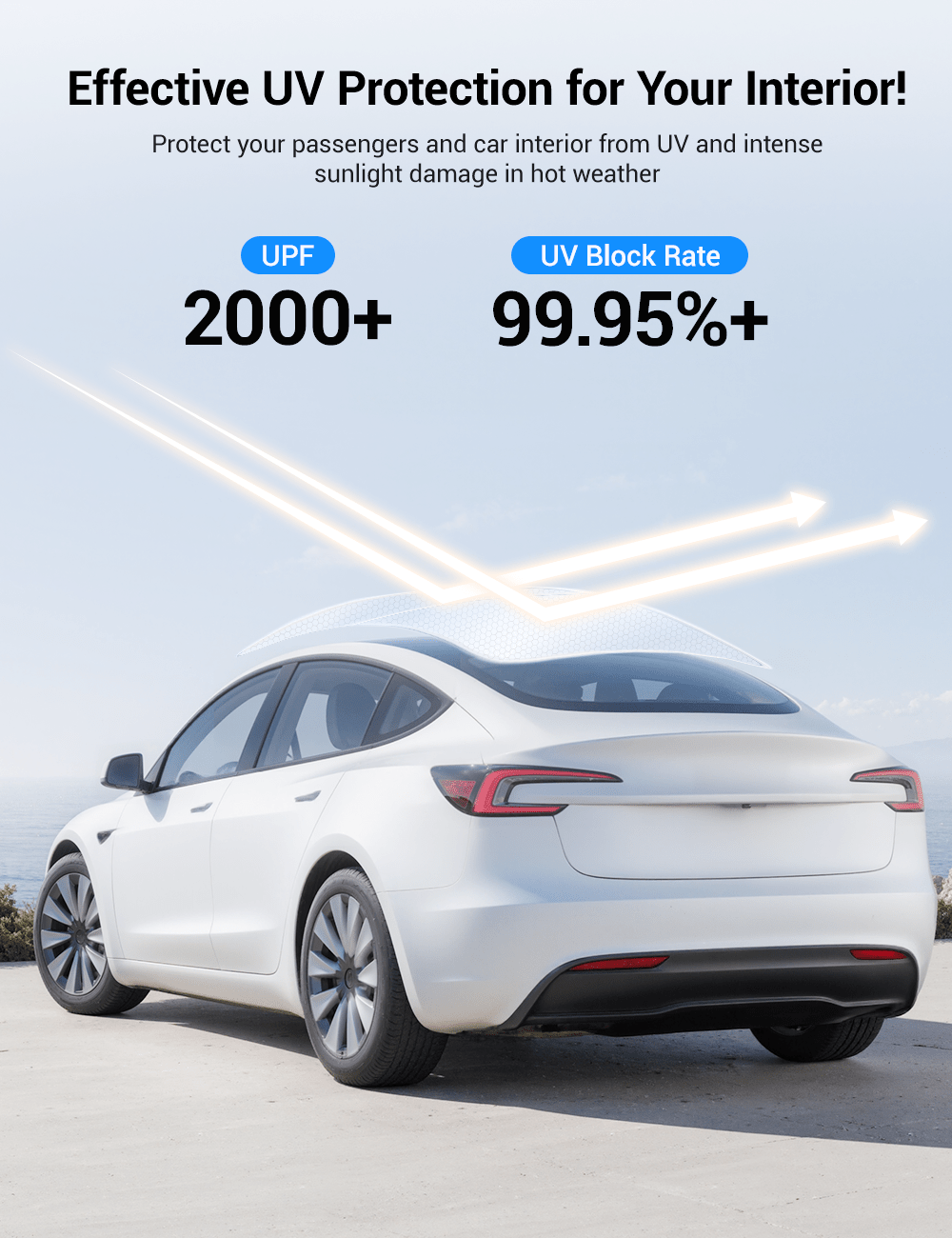 Glass Roof Sunshade for Tesla Model 3 | TESERY Tesery Official Store